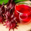 25+ Roselle Seeds – Asian Sour Leaf, Red Sorrell, Florida Cranberry Seeds - Image 1