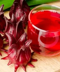 25+ Roselle Seeds – Asian Sour Leaf, Red Sorrell, Florida Cranberry Seeds - Image 1