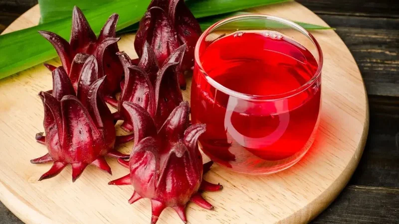 25+ Roselle Seeds – Asian Sour Leaf, Red Sorrell, Florida Cranberry Seeds - Image 1