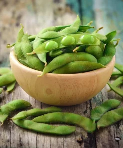 25 Sweet Black Jet Soybean Edamame Seeds - Glycine Max Vegetable - Image 4