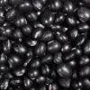 25 Sweet Black Jet Soybean Edamame Seeds - Glycine Max Vegetable - Image 1