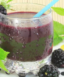 25 Trailing Blackberry Seeds - Pacific Rubus Ursinus Vining Shrub Fruit Seeds - Image 10