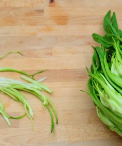 250 Chicory Puntarelle Seeds - Cicoria Catalogna Vegetable Seeds - Image 11
