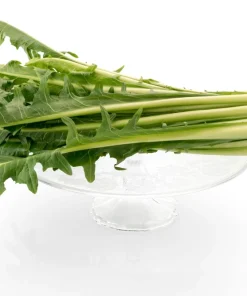 250 Chicory Puntarelle Seeds - Cicoria Catalogna Vegetable Seeds - Image 1