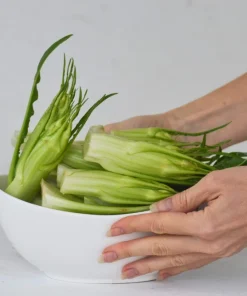 250 Chicory Puntarelle Seeds - Cicoria Catalogna Vegetable Seeds - Image 3