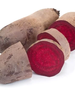 250 Cylindra Beet Seeds - Beta Vulgaris Vegetable Seeds for Garden - Image 6