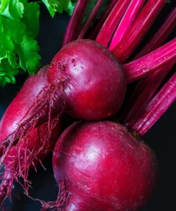 250 Detroit Dark Red Beet Seeds - Heirloom Beta Vulgaris Vegetable Seeds - Image 3