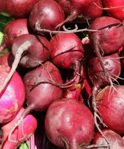 250 Early Wonder Beet Vegetable Seeds - Beta Vulgaris - Image 4