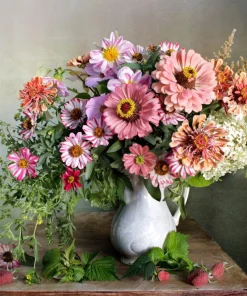 250 Mixed Colors Zinnia Elegans Flower Seeds - Common Garden Zinnia - Image 11