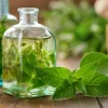 250 Peppermint Mint Herb Seeds - Mentha Piperita for Garden - Image 1