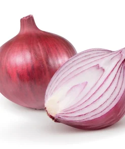 250 Red Burgundy Onion Allium Cepa Vegetable Seeds for Planting - Image 1