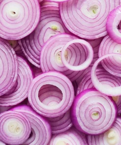 250 Red Burgundy Onion Allium Cepa Vegetable Seeds for Planting - Image 8