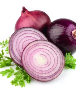 250 Red Burgundy Onion Allium Cepa Vegetable Seeds for Planting - Image 9