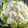 250 Snowball Cauliflower Seeds - Heirloom Vegetable for Home Gardens - Image 1