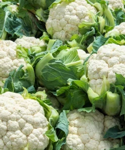 250 Snowball Self-Blanching Cauliflower Seeds - White Brassica Oleracea - Image 4