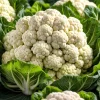 250 Snowball Self-Blanching Cauliflower Seeds - White Brassica Oleracea - Image 1