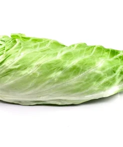 250 Sugar Loaf Endive Seeds - Radicchio Escarole Green Vegetable - Image 5