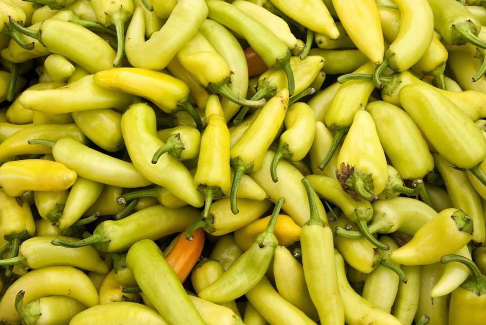 250 Sweet Banana Pepper Seeds - Hungarian Capsicum Annuum Vegetable - Image 6