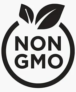 250 Treated Vidalia Sweet Onion Seeds - Non-GMO Heirloom Vegetable - Image 4