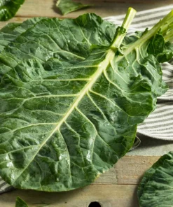 250 Vates Collard Greens Vegetable Seeds - Brassica Oleracea Acephala - Image 2