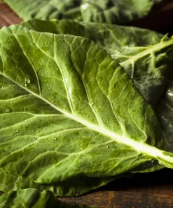 250 Vates Collard Greens Vegetable Seeds - Brassica Oleracea Acephala - Image 5