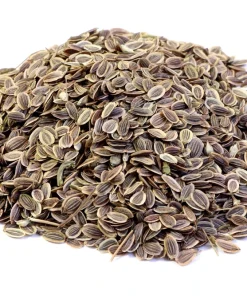 2500 Bouquet Dill Seeds – Anethum Graveolens Herb Flower – Culinary & Ornamental - Image 3