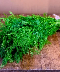 2500 Bouquet Dill Seeds – Anethum Graveolens Herb Flower – Culinary & Ornamental - Image 7