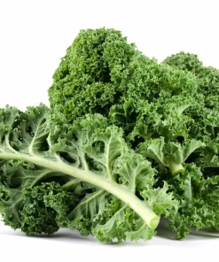 2500 Vates Blue Curled Kale Seeds - Dwarf Scotch Brassica Oleracea Vegetable - Image 9