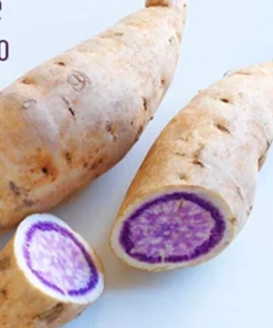 3 Organic Okinawa Purple Sweet Potato Plants - Live Slips for Planting - Image 3