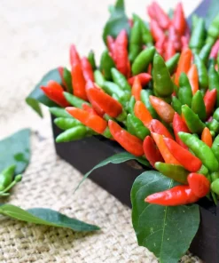 30 Birds Eye Chili Pepper (Chiltepin) Vegetable Seeds - Capsicum Frutescens - Image 6