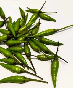 30 Birds Eye Chili Pepper (Chiltepin) Vegetable Seeds - Capsicum Frutescens - Image 8