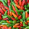 30 Birds Eye Chili Pepper (Chiltepin) Vegetable Seeds - Capsicum Frutescens - Image 1