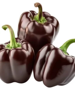 30 Chocolate Beauty Bell Pepper Sweet Brown Capsicum Annuum Vegetable Seeds - Image 5