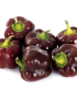 30 Chocolate Beauty Bell Pepper Sweet Brown Capsicum Annuum Vegetable Seeds - Image 6