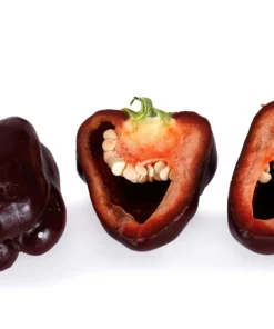 30 Chocolate Beauty Bell Pepper Sweet Brown Capsicum Annuum Vegetable Seeds - Image 7