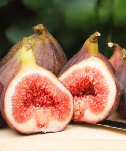 30 Common Edible Fig Tree Seeds - Ficus Carica, Purple Brown Skin, Pink Flesh Fruit - Image 1