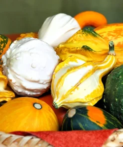 30 Mixed Gourd Seeds - Lagenaria Siceraria - Craft & Ornamental - Image 2