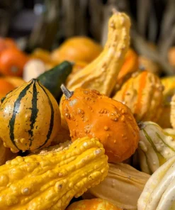 30 Mixed Gourd Seeds - Lagenaria Siceraria - Craft & Ornamental - Image 7