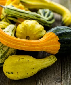 30 Mixed Gourd Seeds - Lagenaria Siceraria - Craft & Ornamental - Image 8