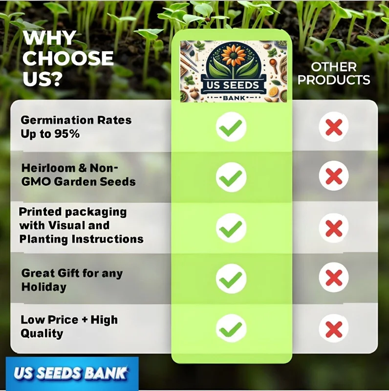 30 Mixed Ranunculus Seeds - Colorful Double Bloom Buttercups Perennial - Image 4