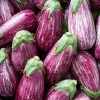 30 Pandora Striped Rose Eggplant Seeds - White Fruit Vegetable Seeds - Image 1
