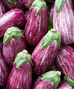 30 Pandora Striped Rose Eggplant Seeds - White Fruit Vegetable Seeds - Image 1