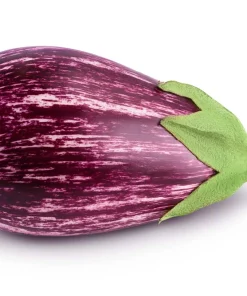 30 Pandora Striped Rose Eggplant Seeds - White Fruit Vegetable Seeds - Image 6