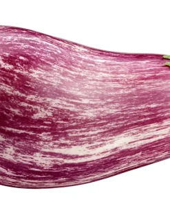 30 Pandora Striped Rose Eggplant Seeds - White Fruit Vegetable Seeds - Image 7