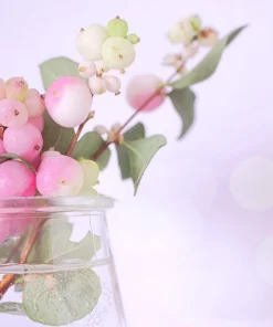30 Western Snowberry Shrub Seeds - White Pink Flowers, Symphoricarpos Occidentalis - Image 4