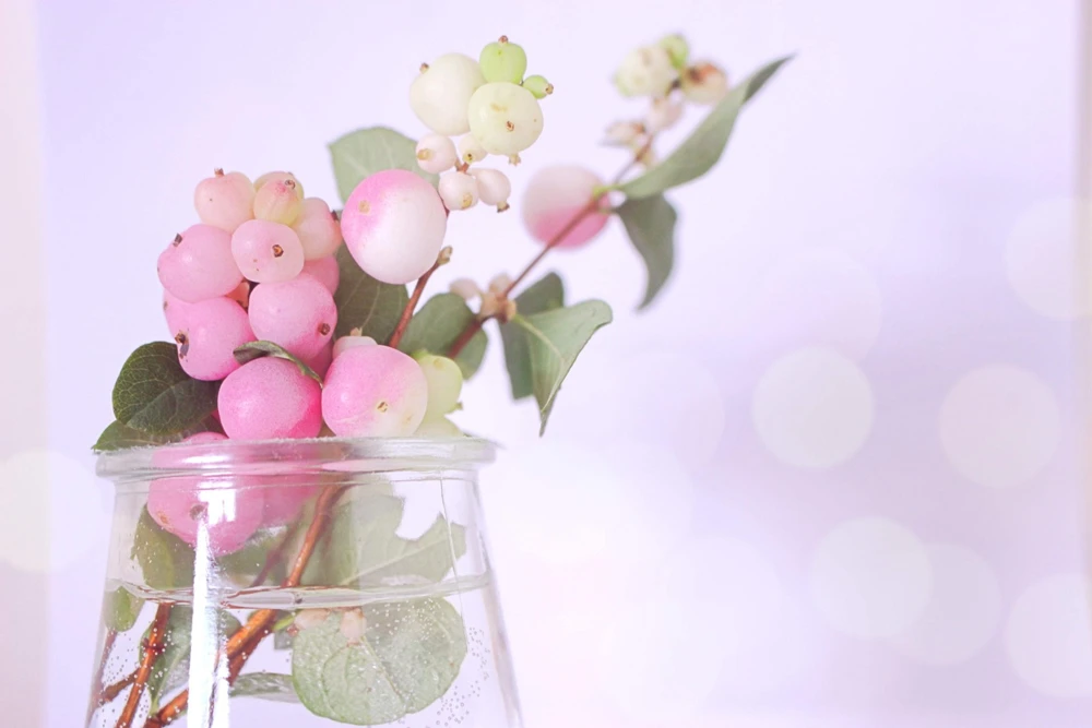 30 Western Snowberry Shrub Seeds - White Pink Flowers, Symphoricarpos Occidentalis - Image 4