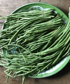 30 Yard Long Bean Seeds - Asparagus Cowpea Vegetable Seeds for Gardening - Image 6
