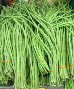 30 Yard Long Bean Seeds - Asparagus Cowpea Vegetable Seeds for Gardening - Image 1