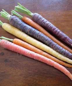 300 Black Nebula Carrot Seeds - Dark Purple Root Vegetable Seeds - Image 5