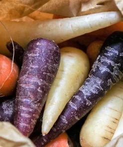 300 Black Nebula Carrot Seeds - Dark Purple Root Vegetable Seeds - Image 7